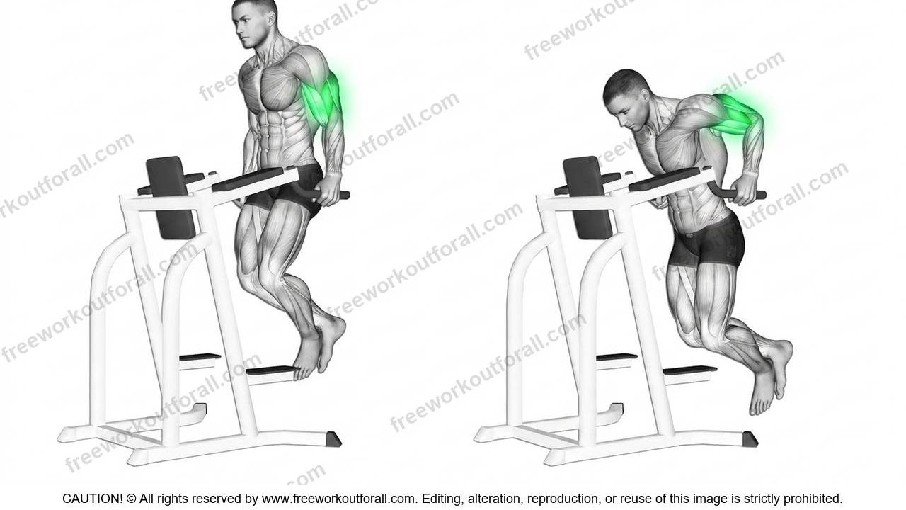 Tricep Dips