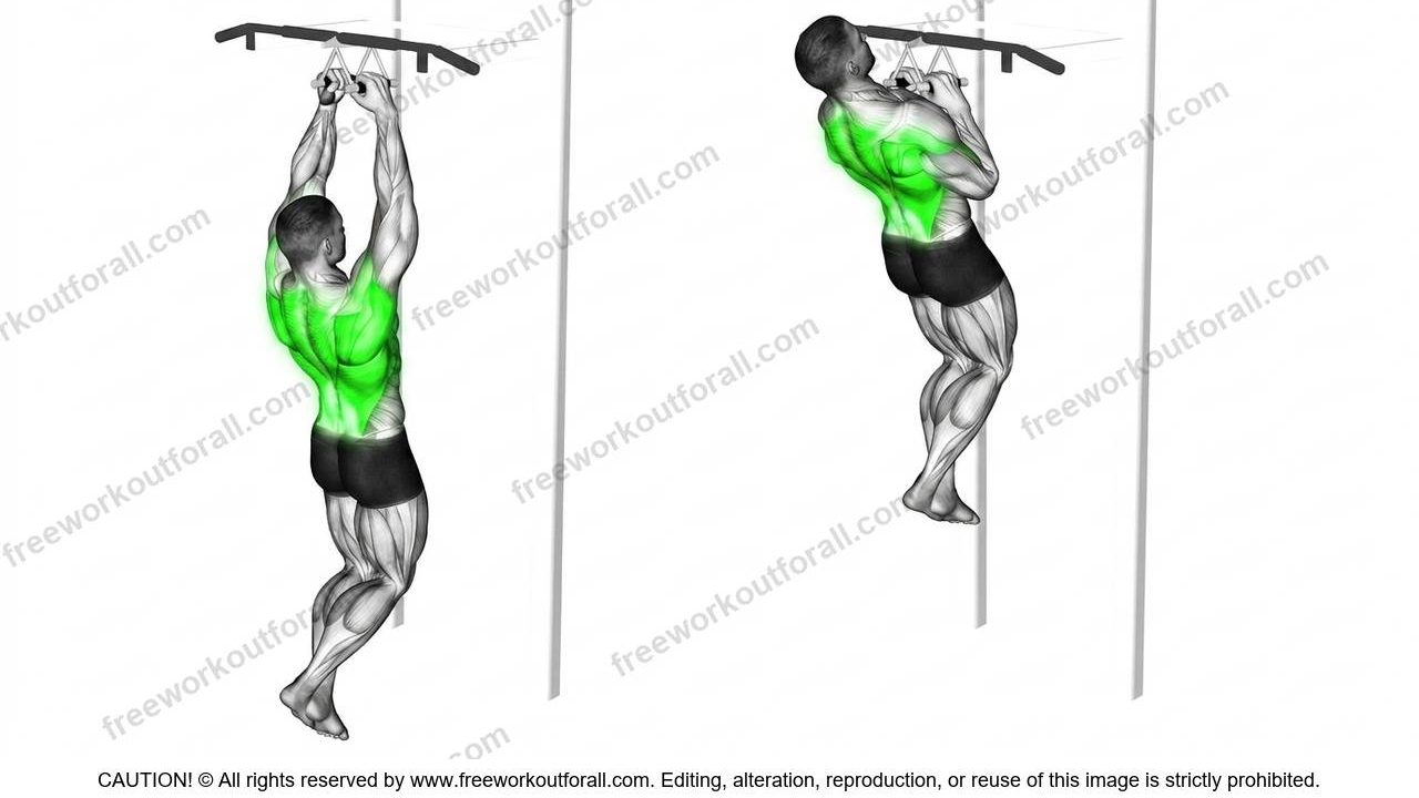 V Bar Chin Ups