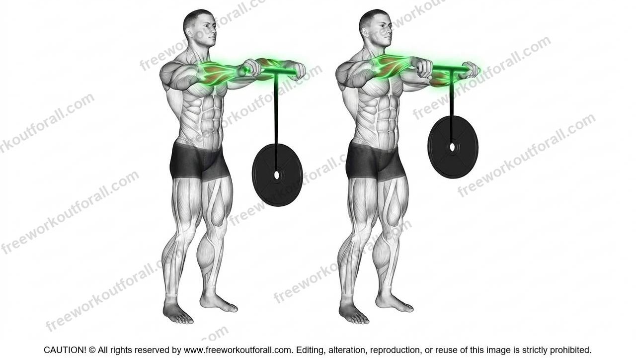 Wrist Roller