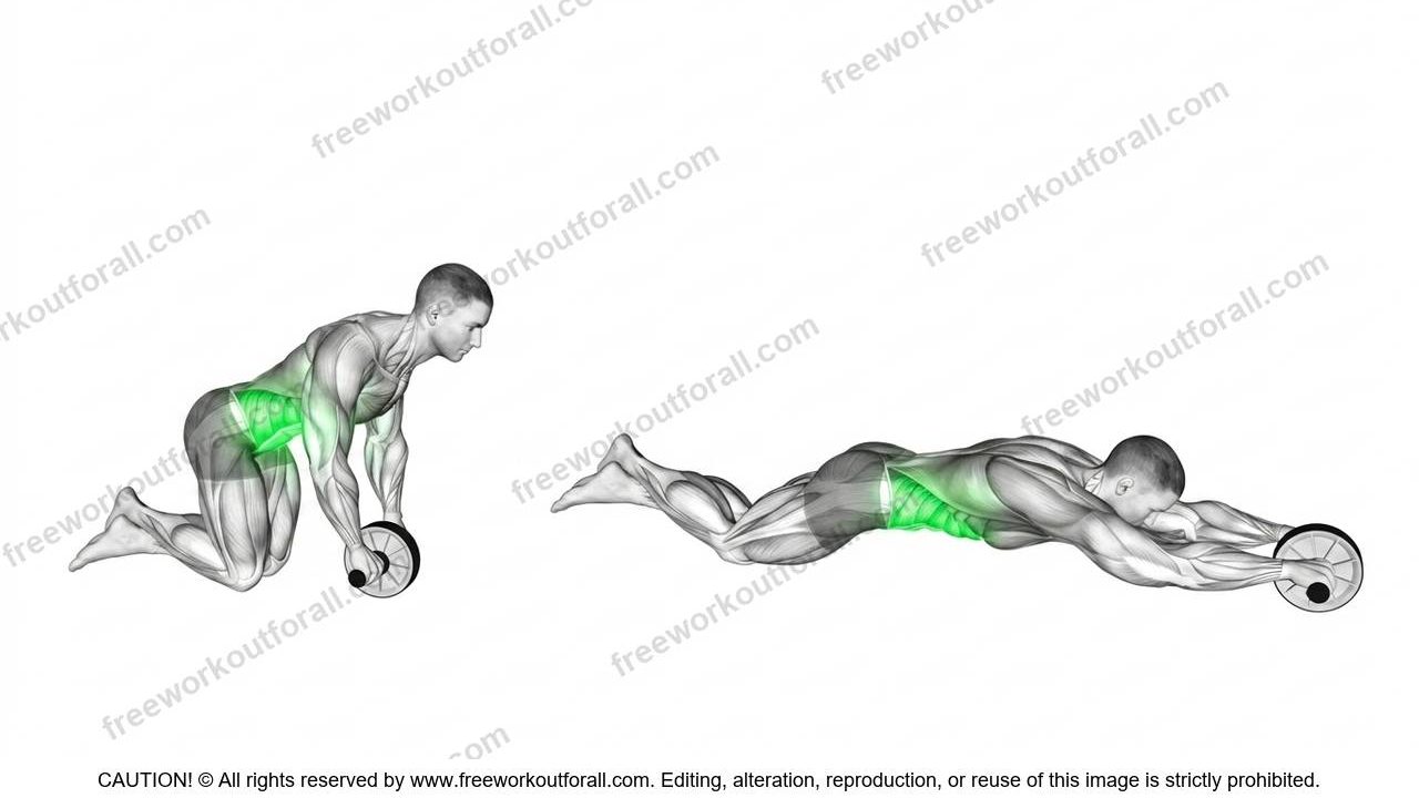 ab roller exercise