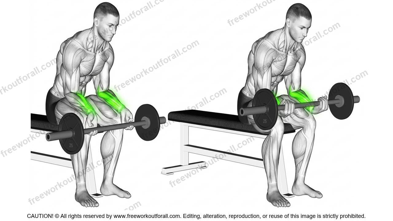 barbell wrist curls