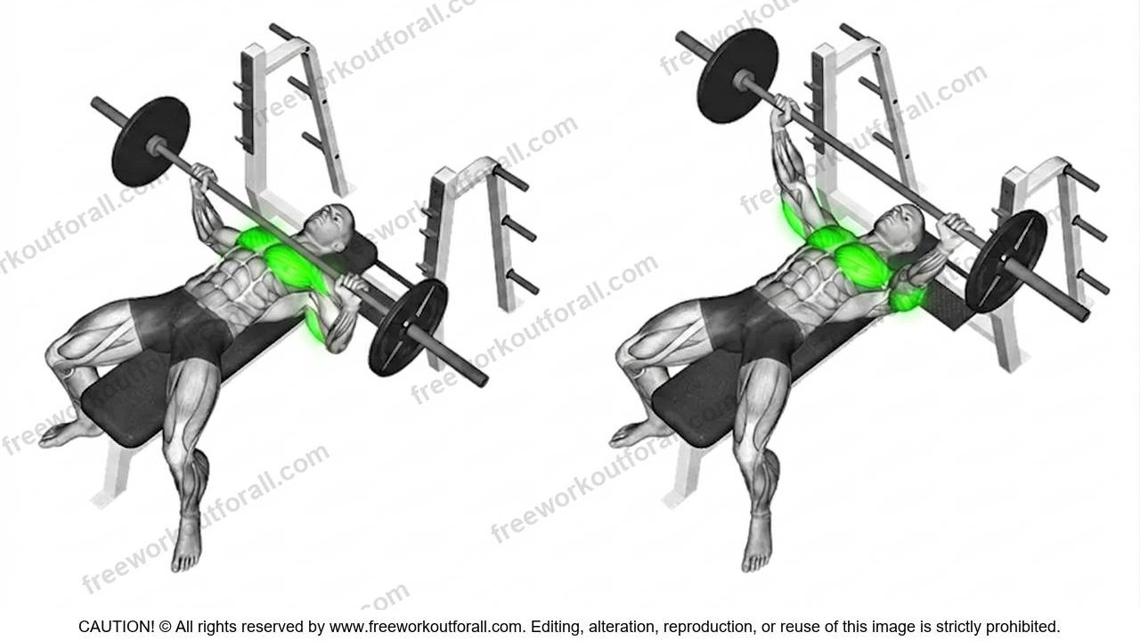 bench press