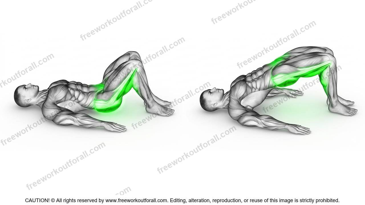 bridging exercise