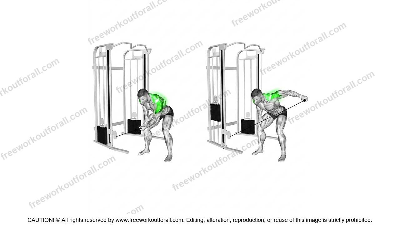 cable bent over lateral raises