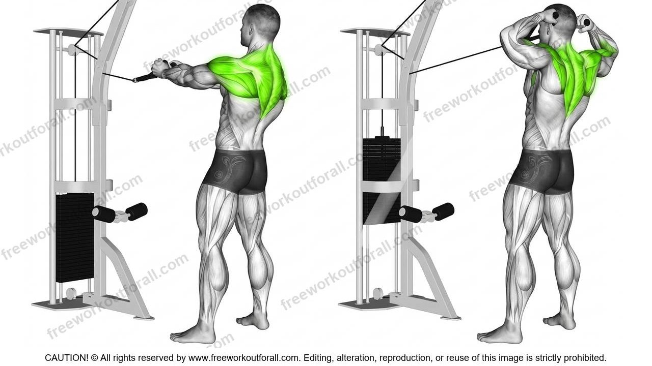 cable face pulls