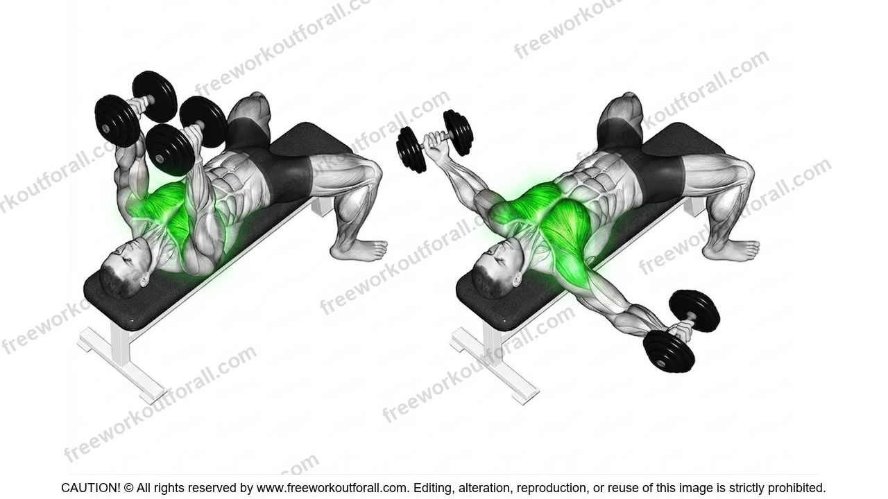 dumbbell fly