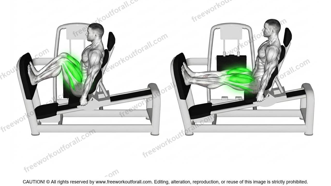 leg press