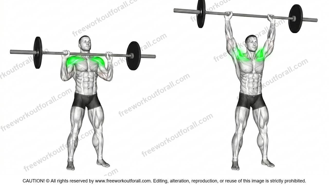 overhead press
