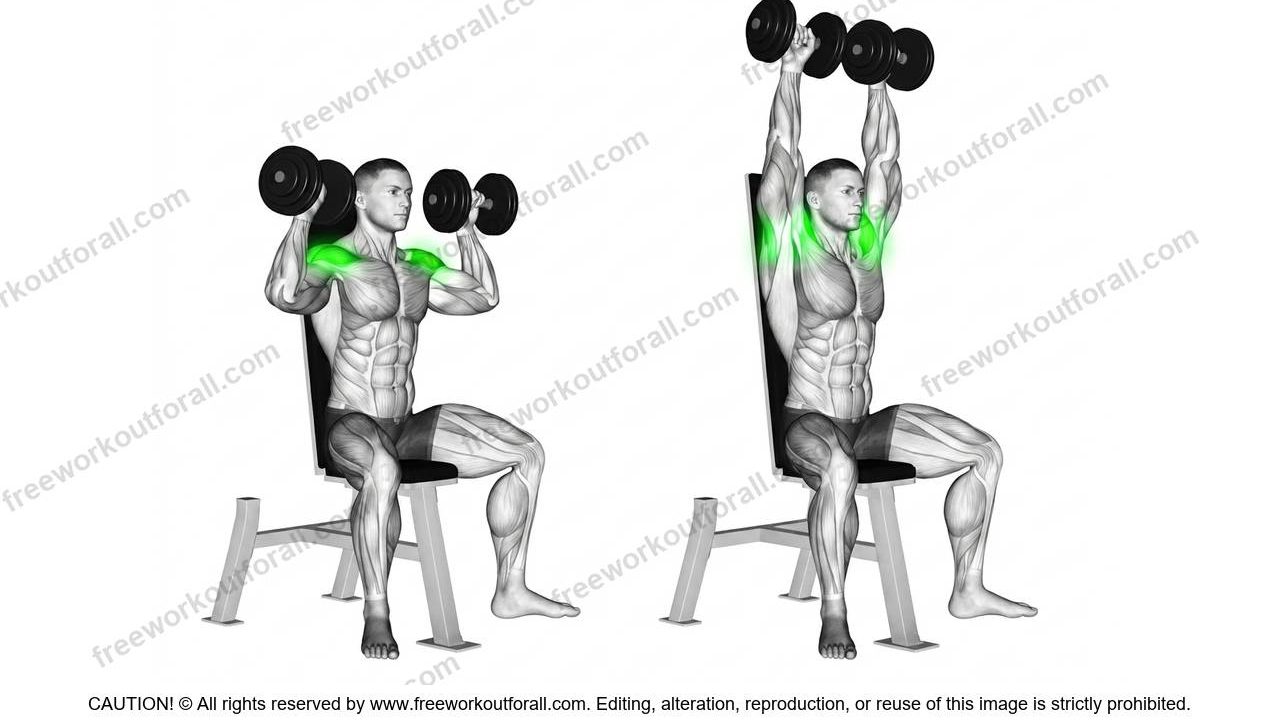 seated dumbbell presses