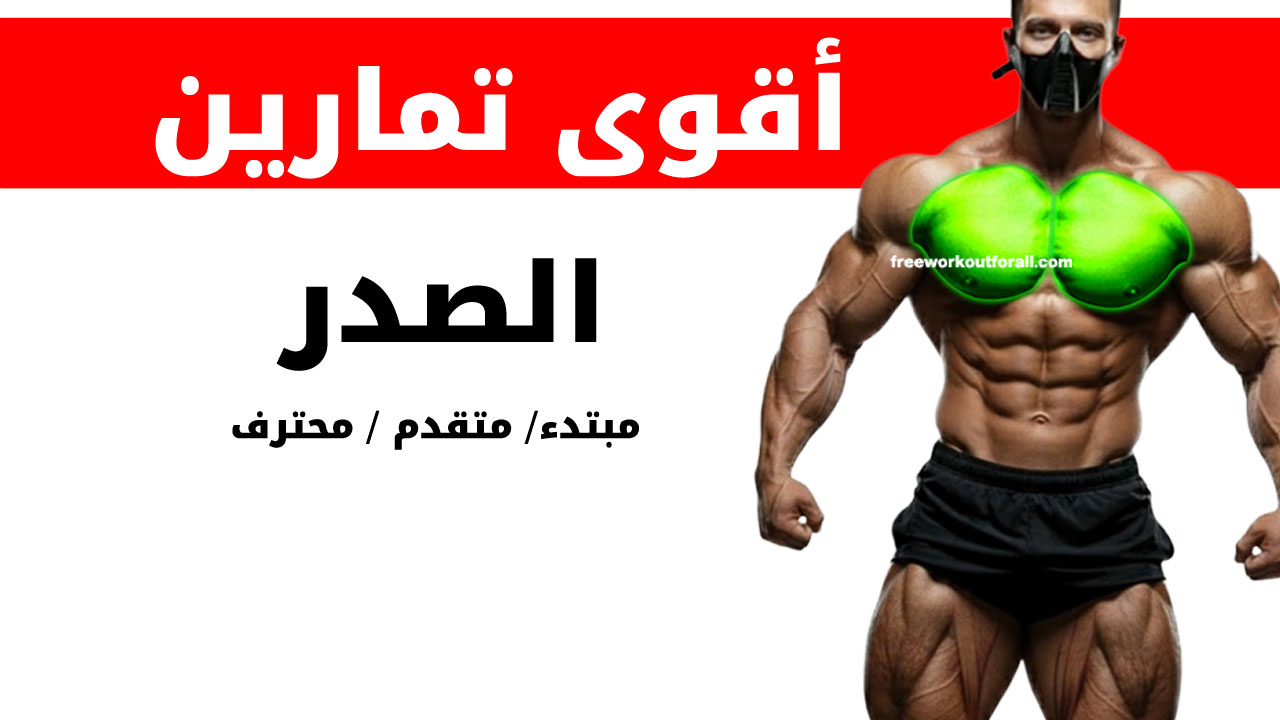 تمارين الصدر لكمال الأجسام