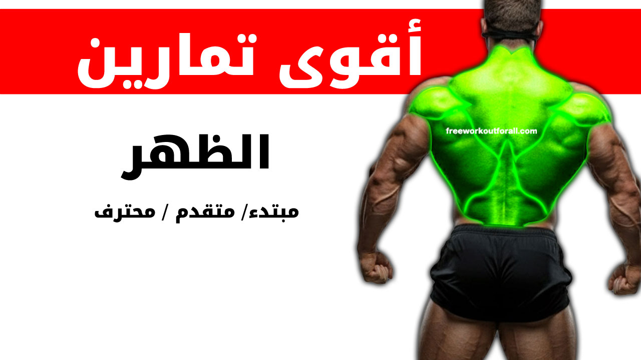 تمارين الظهر لكمال الأجسام