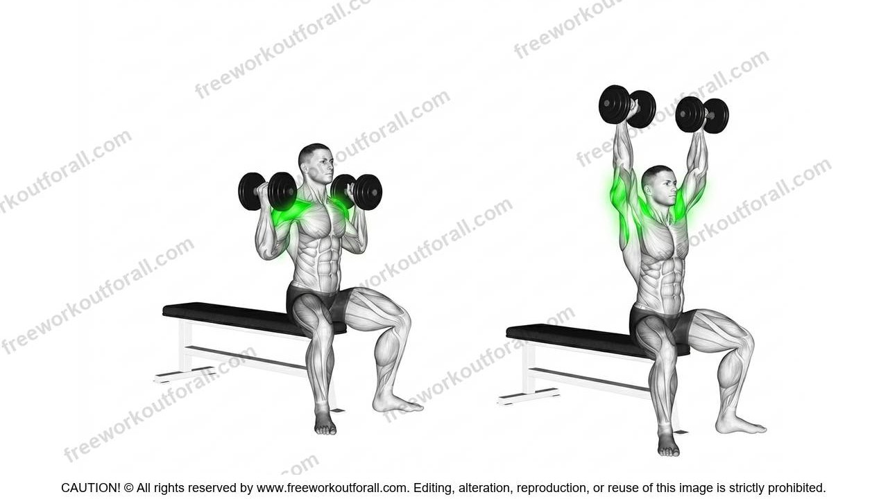أداء تمرين أرنولد برس (Arnold Presses) لاستهداف الكتف الأمامي