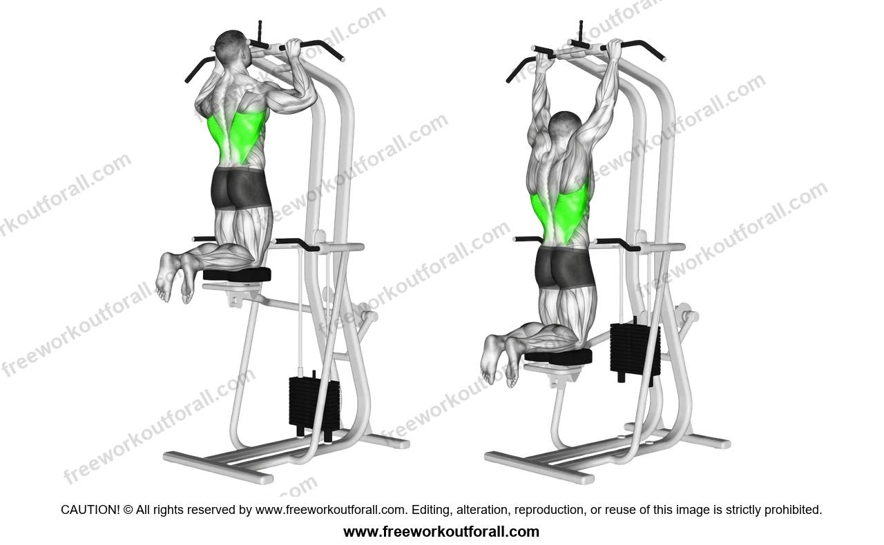 أداء تمرين العقلة بالجهاز (Assisted Pull Up) لاستهداف اللاتس