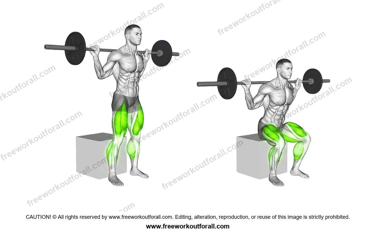 أداء تمرين بوكس سكوات (Box Squats) لاستهداف الفخذ الأمامي