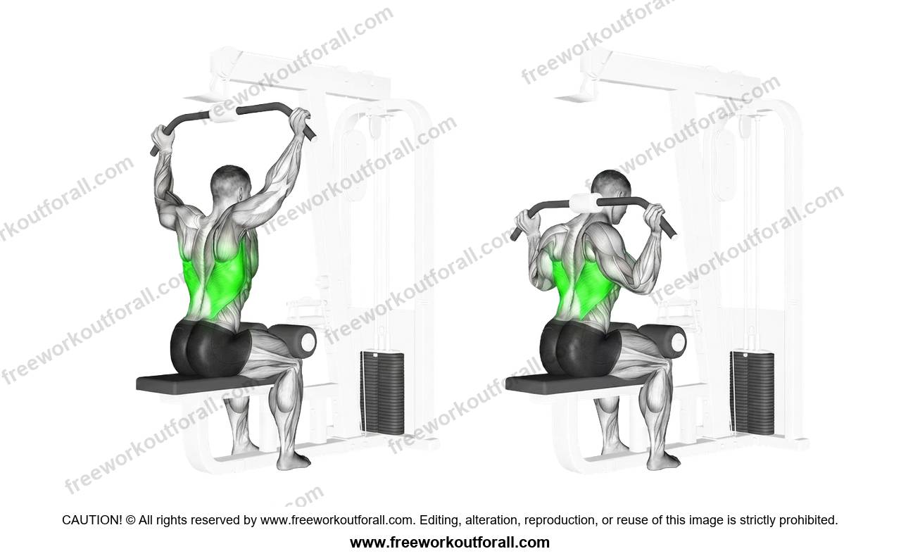 Cable Rear Pulldown