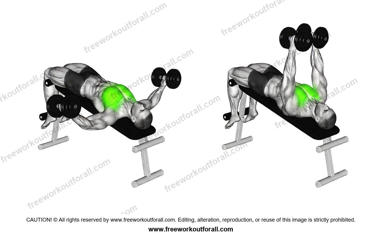 أداء تمرين رفرفة مقلوب (Decline Dumbbell Fly) لاستهداف الصدر السفلي