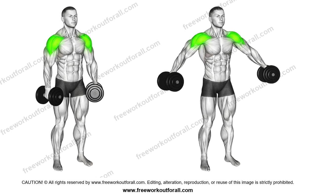 أداء تمرين الرفرفة الجانبية بالدمبل (Dumbbell Partials Lateral Raise) للكتف الجانبي