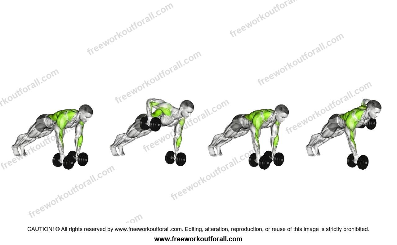 Dumbbell Renegade Rows