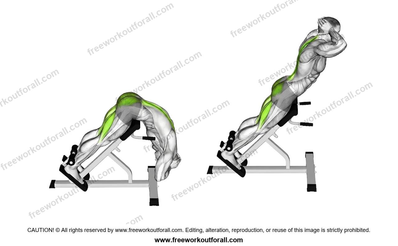 أداء تمرين الهايبر لاكستنشن للظهر السفلي (Hyperextensions)