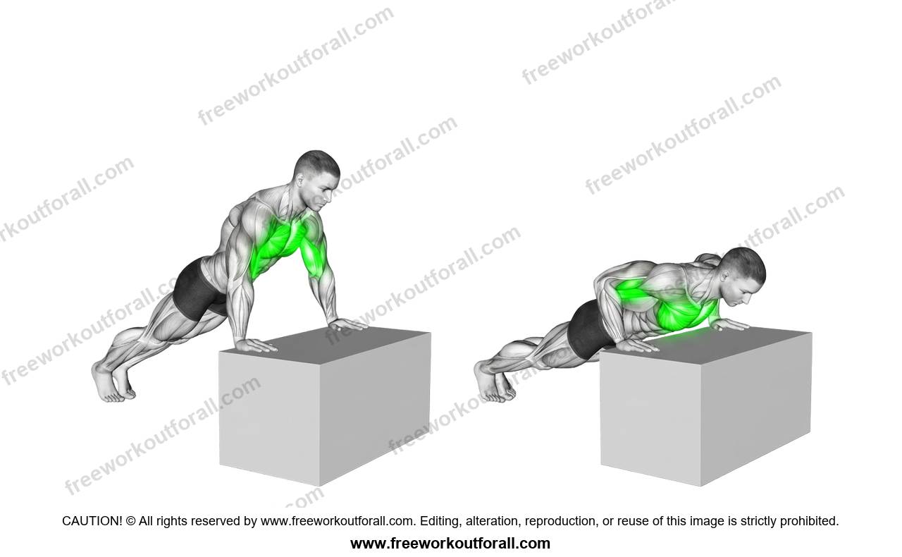 أداء تمرين الضغط للصدر السفلي (Incline Push Ups)