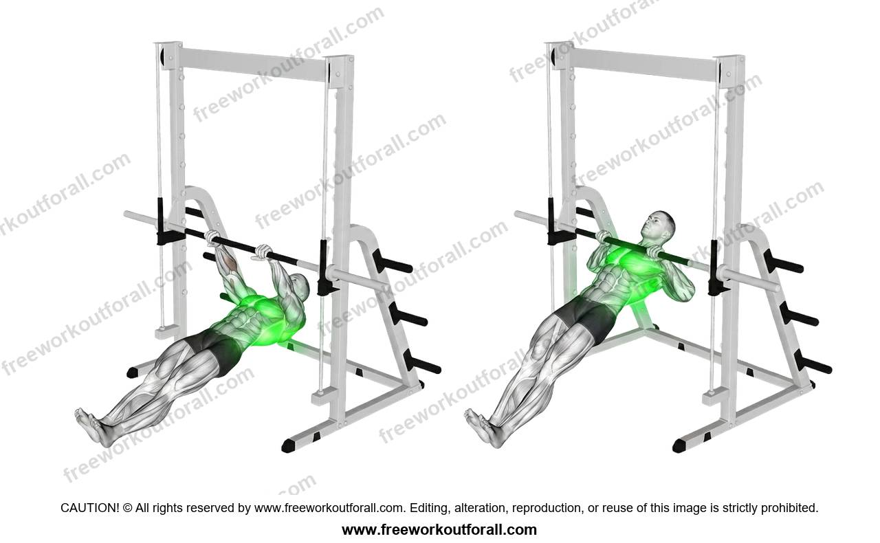 أداء تمرين Inverted Rows لاستهداف الظهر العلوي والوسط