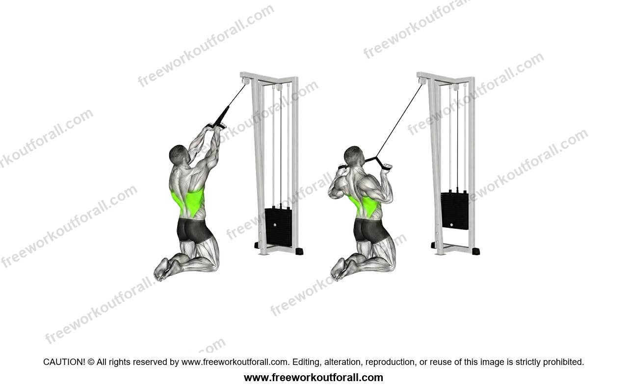 أداء تمرين بول أوفر (Kneeling Cable Pullover) لاستهداف العضلة الظهرية العريضة