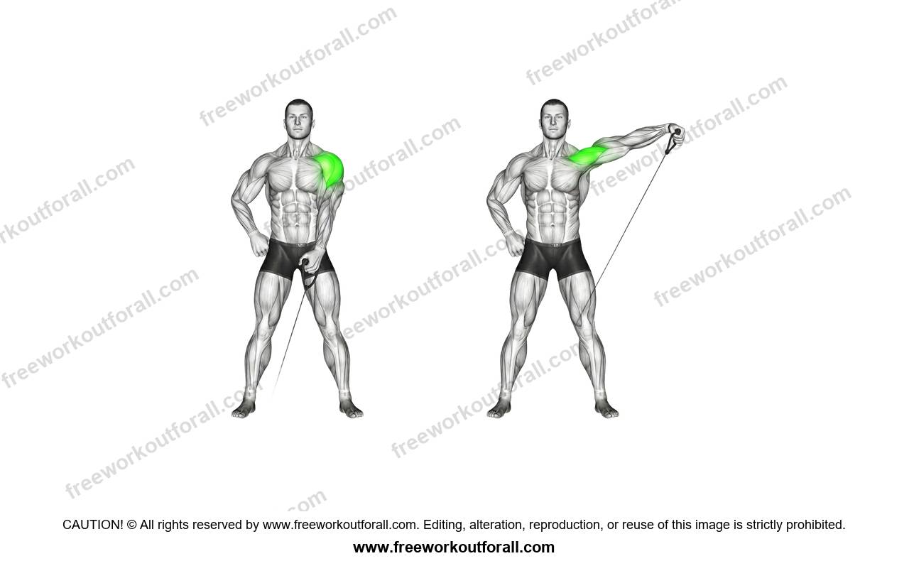 أداء تمرين الرفرفة للكتف الجانبي (One Arm Cable Lateral Raise)