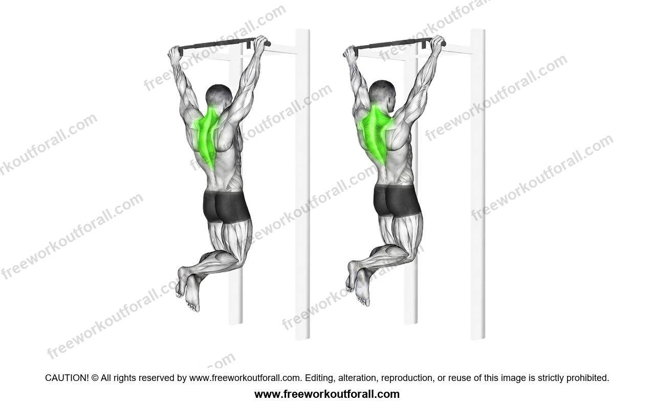 أداء تمرين بول أب للترابيس (Scapular Pull Ups)