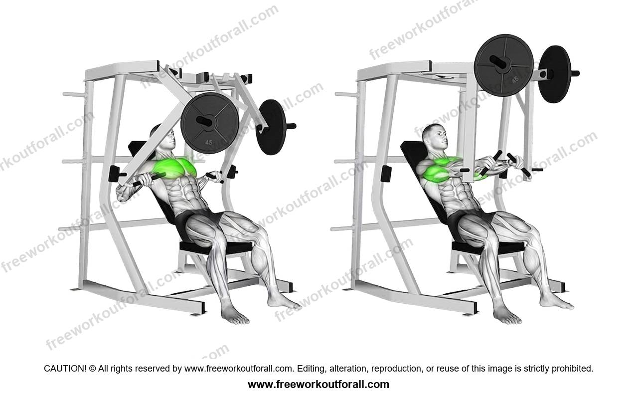 أداء تمرين الصدر السفلي على جهاز سميت (Seated Machine Decline Press)