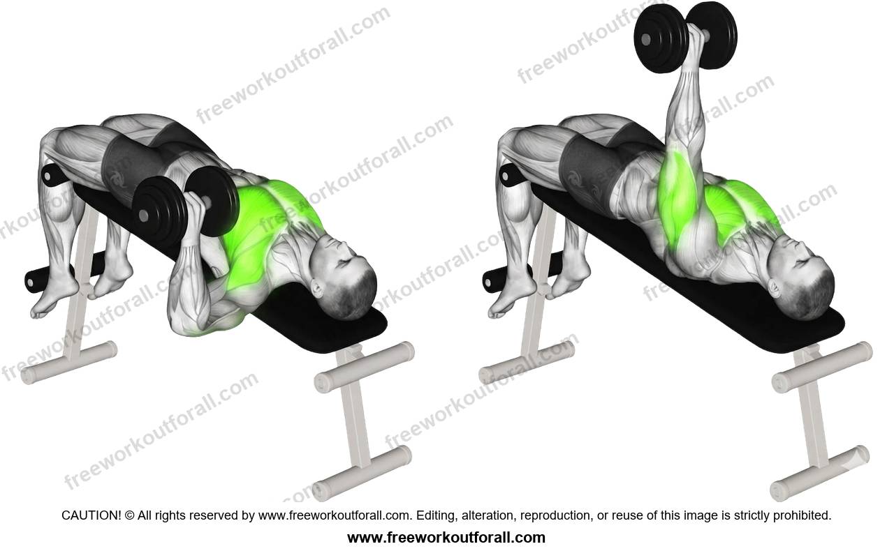 أداء تمرين بنش مقولب يد واحدة (Single Arm Decline Dumbbell Press) لاستهداف عضلة الصدر السفلية