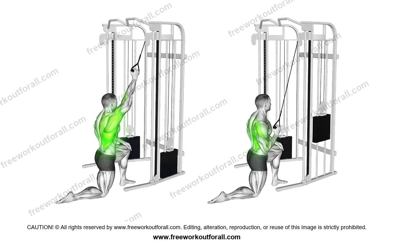 أداء تمرين سحب الكابل أحادي (Single Arm Kneeling Cable Pulldown) لاستهداف اللاتس