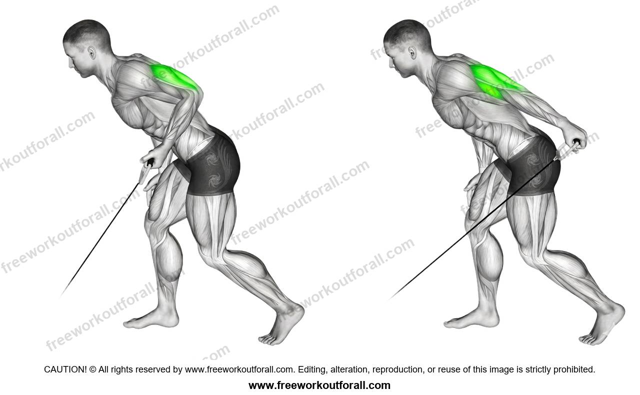 أداء تمرين كيك باك بالدمبل (Triceps Kickbacks) لاستهداف التراي