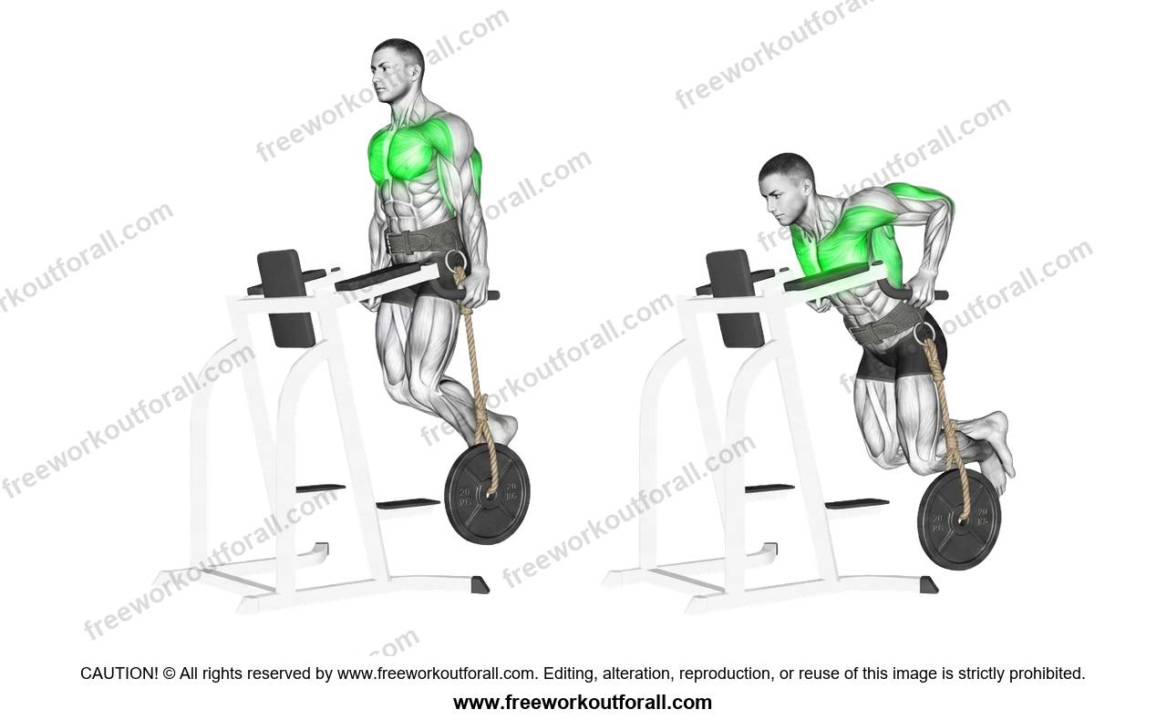 أداء تمرين المتوازي للصدر (Weighted Chest Dips) لاستهداف الصدر السفلي