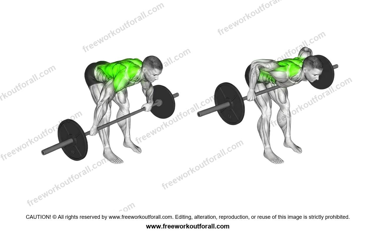 Wide Grip Barbell Row