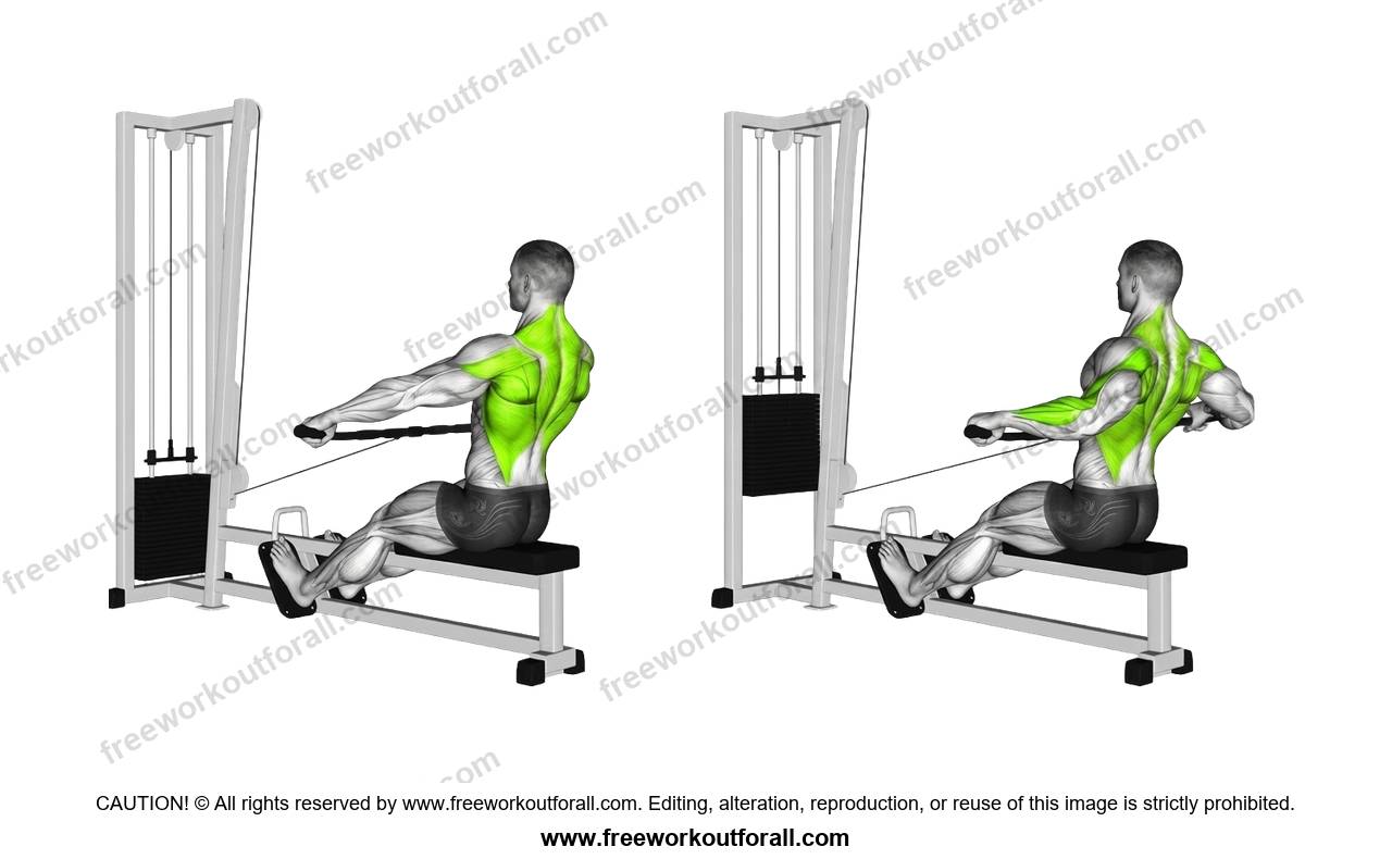 أداء تمرين التجديف بالكابل قبضة واسعة (Wide Grip Cable Row) لاستهداف الظهر العلوي ورابيس