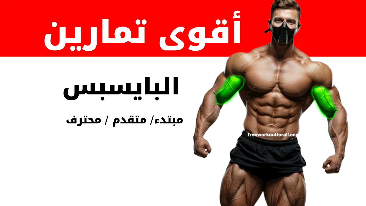 تمارين البايسبس لكمال الأجسام