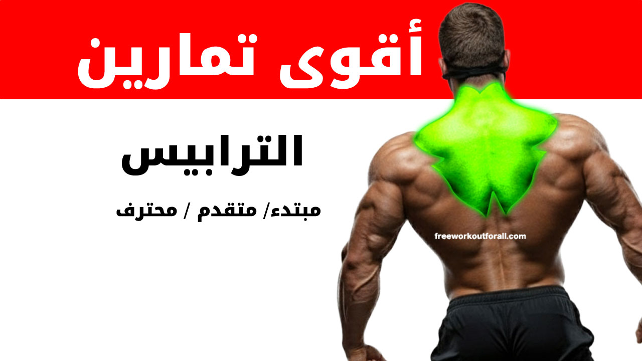 تمارين الترابيس لكمال الأجسام
