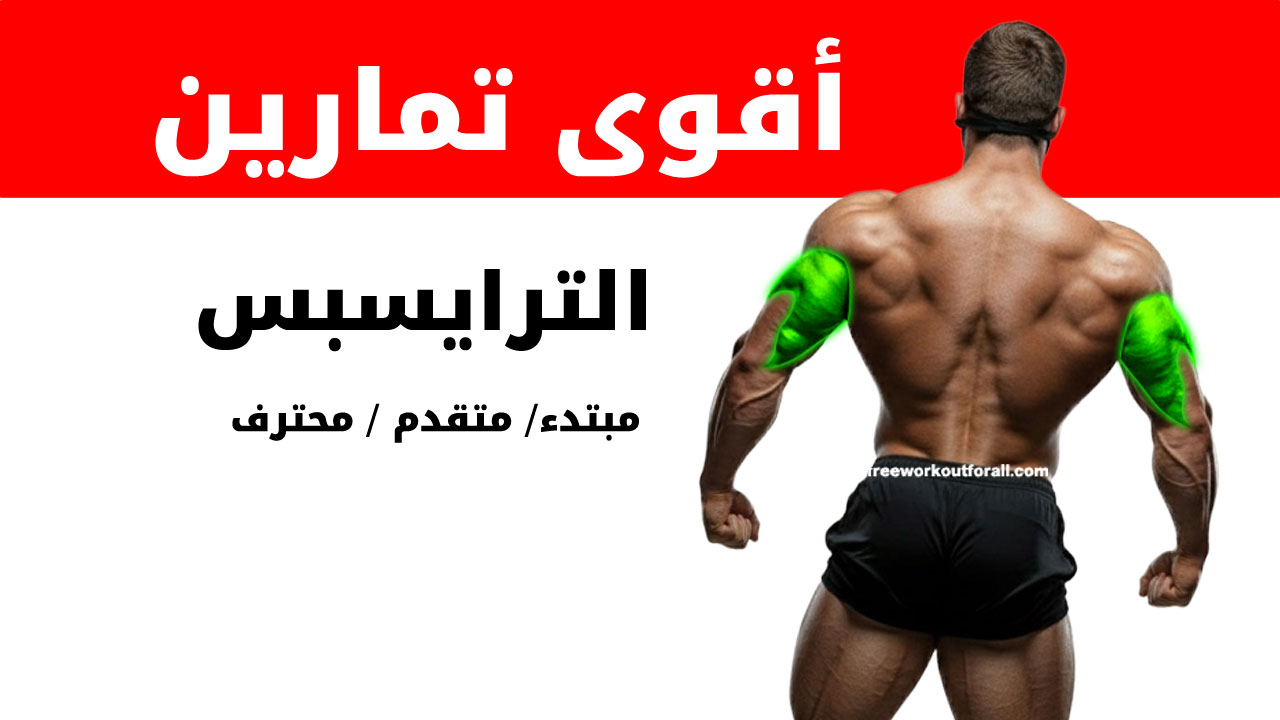 تمارين الترايسبس لكمال الأجسام