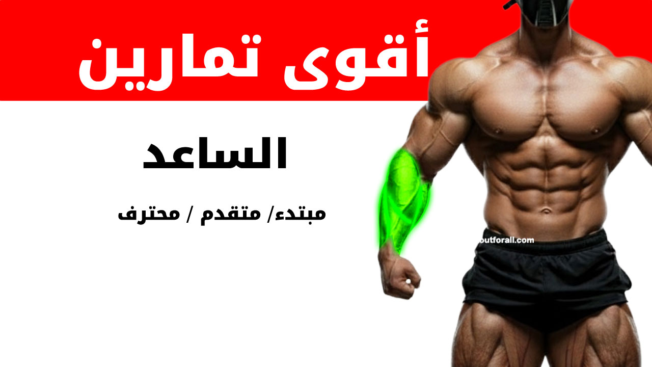 تمارين الساعد لكمال الأجسام