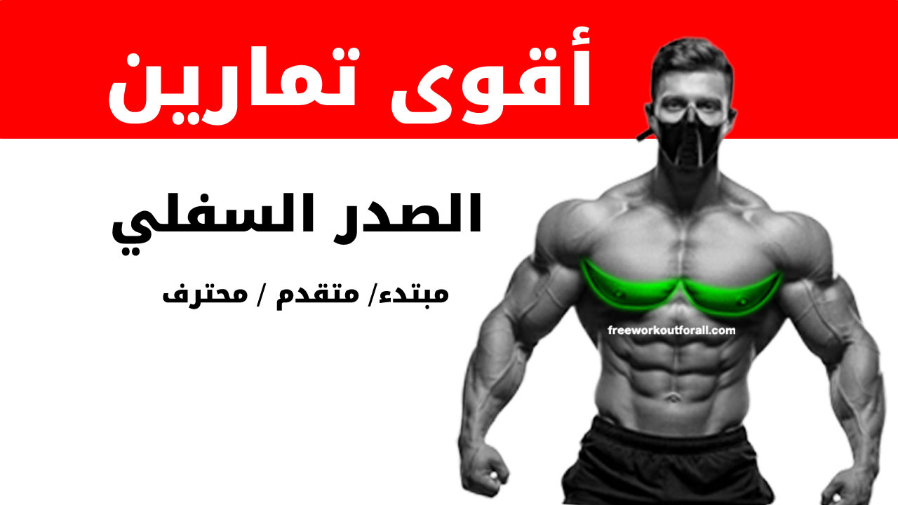 تمارين الصدر السفلي لكمال الأجسام