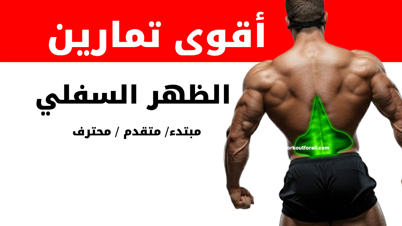 تمارين الظهر السفلي لكمال الأجسام