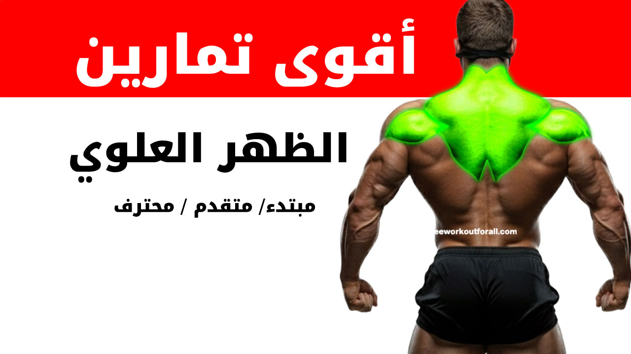 تمارين الظهر العلوي لكمال الأجسام