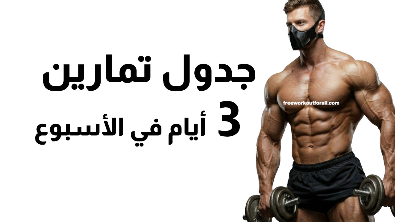 جدول تمارين 3 ايام في الاسبوع