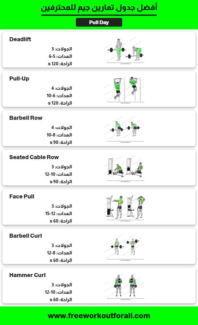 جدول تمارين جيم 11