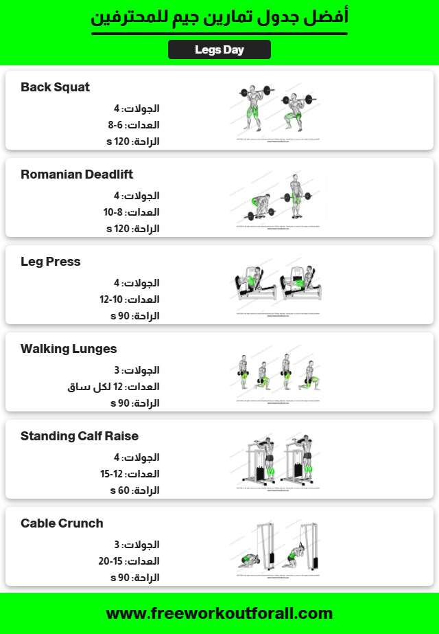 جدول تمارين جيم 12