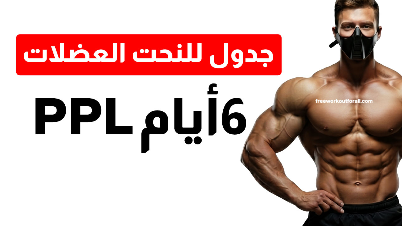 جدول تمارين جيم 6 ايام الأقوى لنحت العضلات
