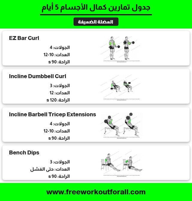 جدول تمارين كمال الأجسام 5 أيام 5