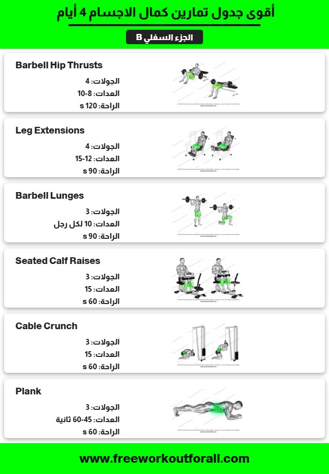 جدول تمارين كمال الاجسام 4 أيام 5