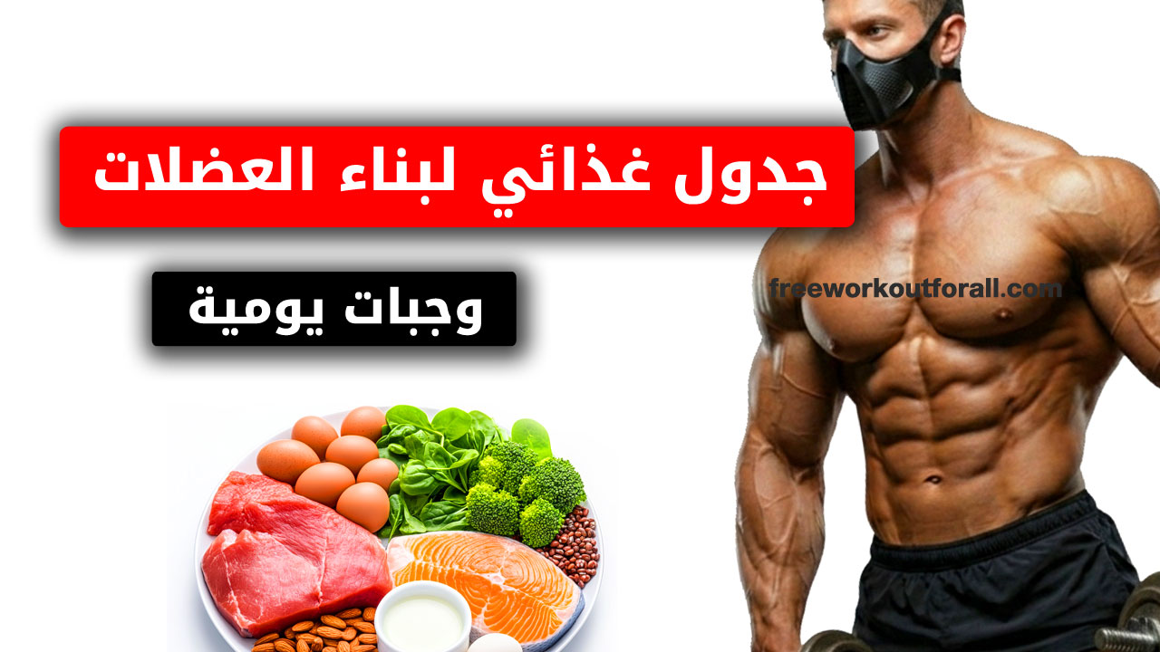 جدول غذائي لبناء العضلات pdf مع وجبات يومية جاهزة